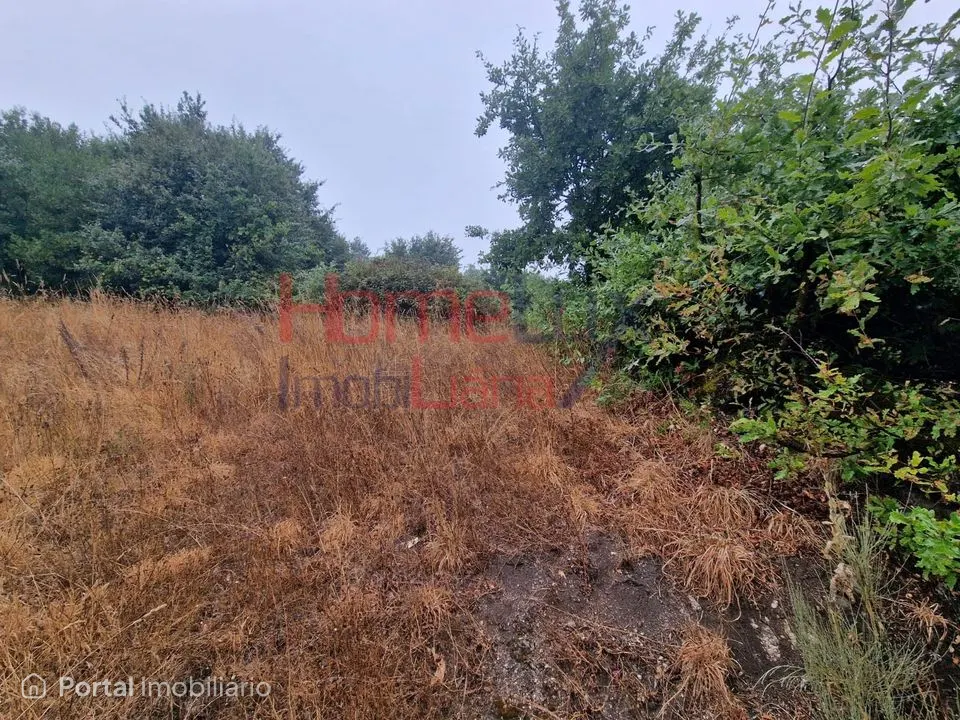 Terreno em Vila Cova à Coelheira com viabilidade de construção
