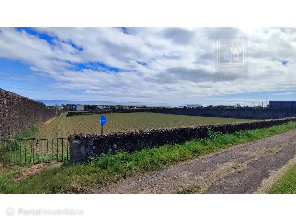 VENDA conjunta de 5 TERRENOS com potencial para construção em Ponta...
