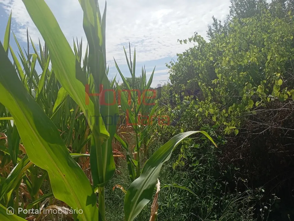 Land for sale in Castêlo da Maia