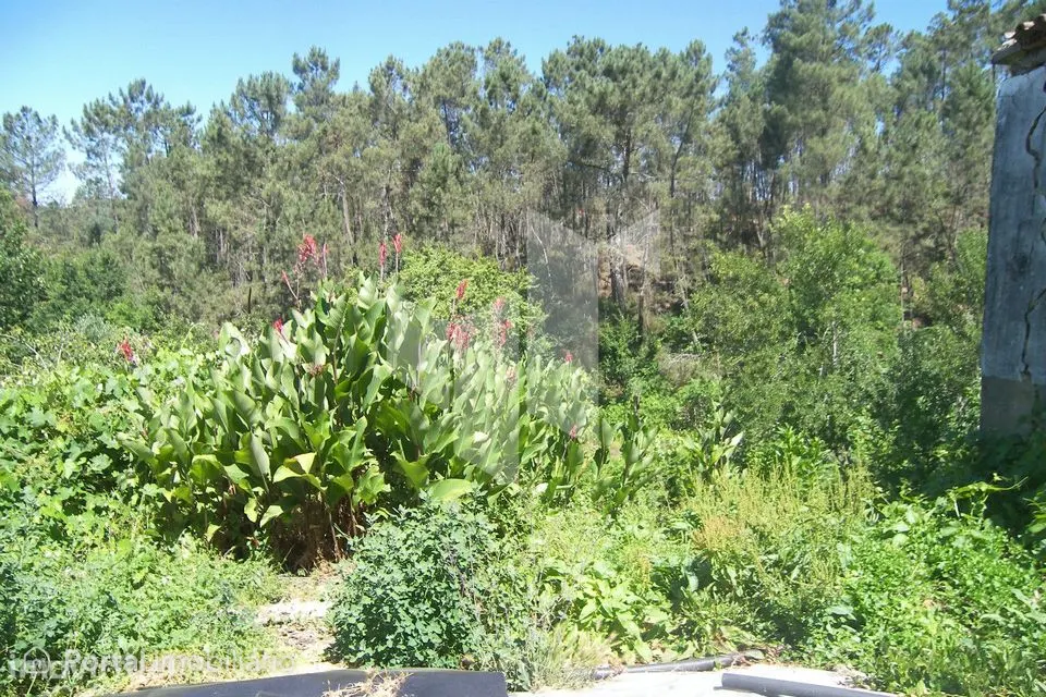 Terreno Para Construção T2 Venda em Dardavaz,Tondela
