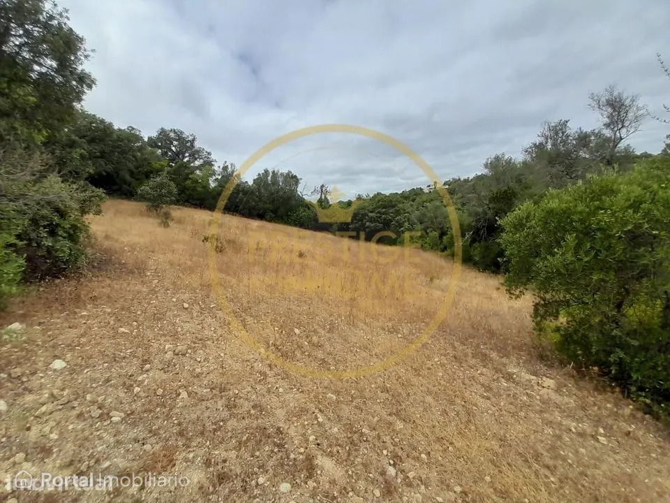 Oportunidade de Investimento: Terreno Agricola de 3.142 m² em Loulé,lo