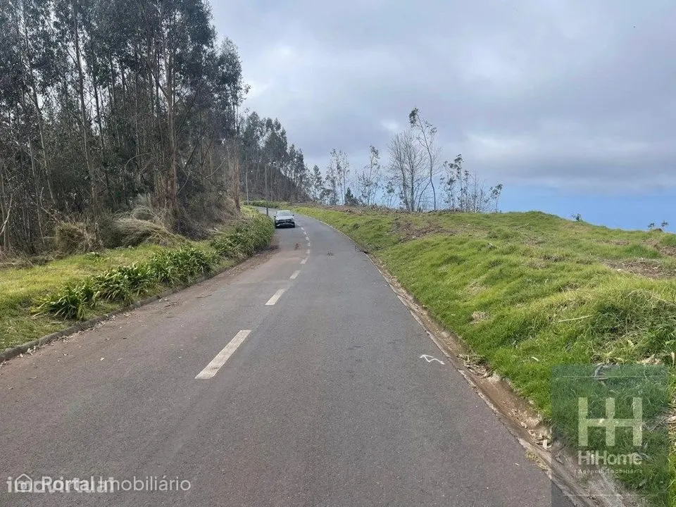 Terreno Rústico com 36.312 m2 no Campanário, Ribeira Brava