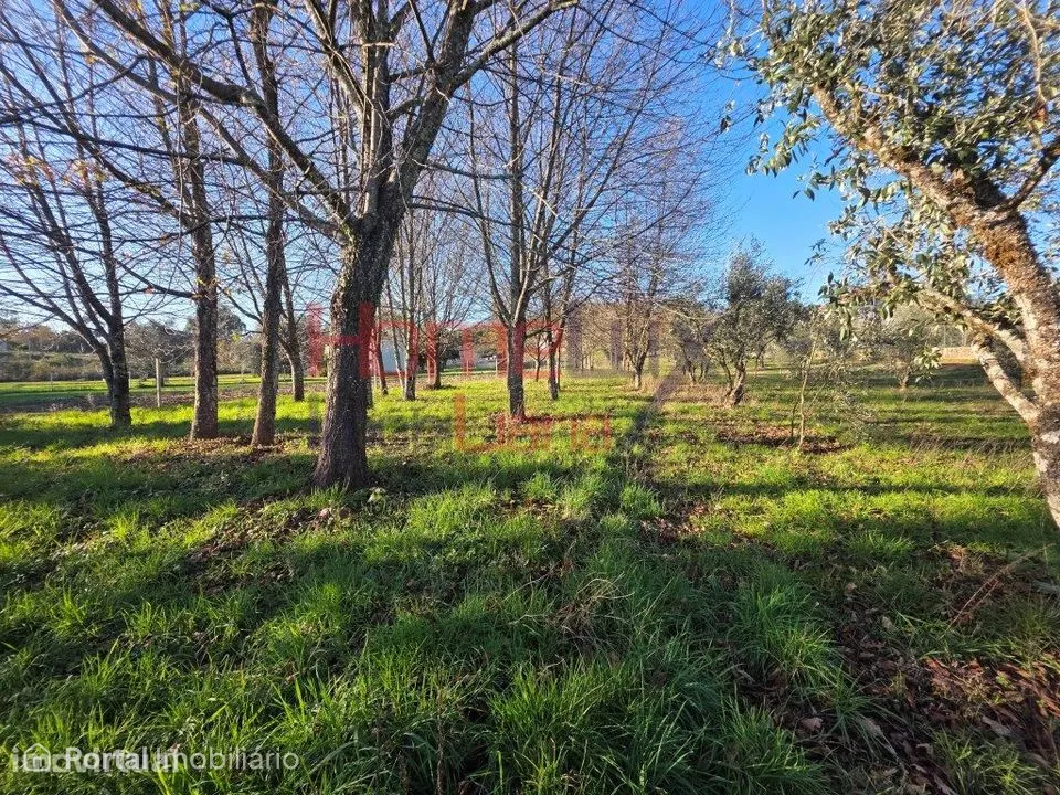 Terreno para venda em Vila Nova de Barreiros