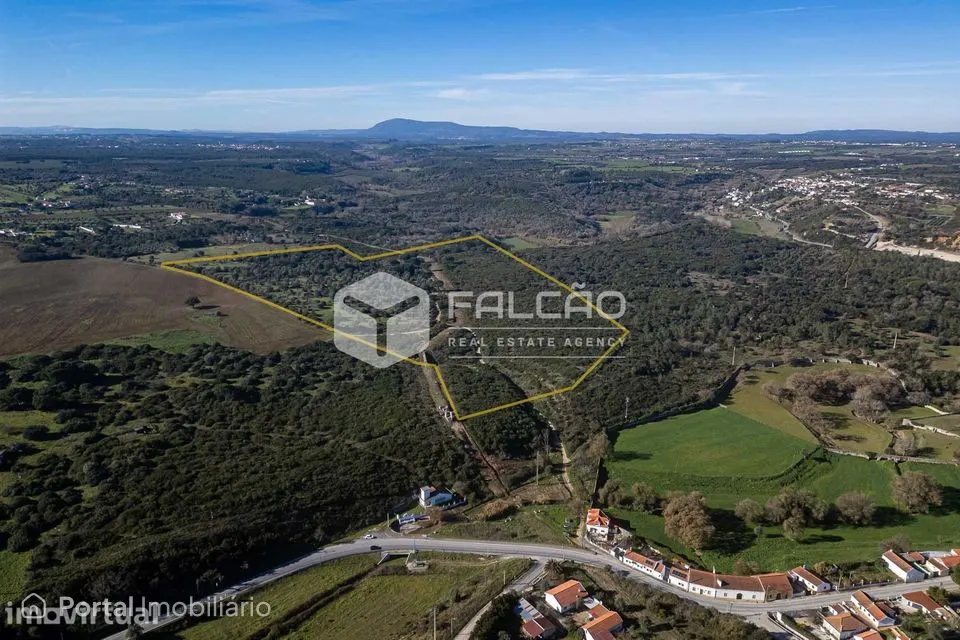 Terreno Venda em Almoster,Santarém