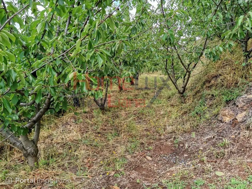 Terreno agrícola