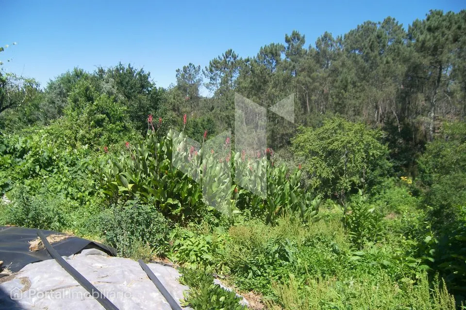Terreno Para Construção T2 Venda em Dardavaz,Tondela