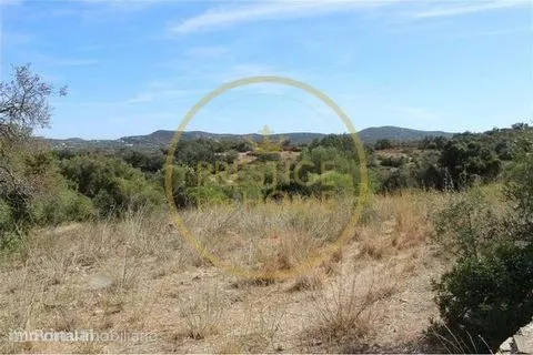 Quinta com cerca de 3979 m2 com área de construção de cerca de 1600m2