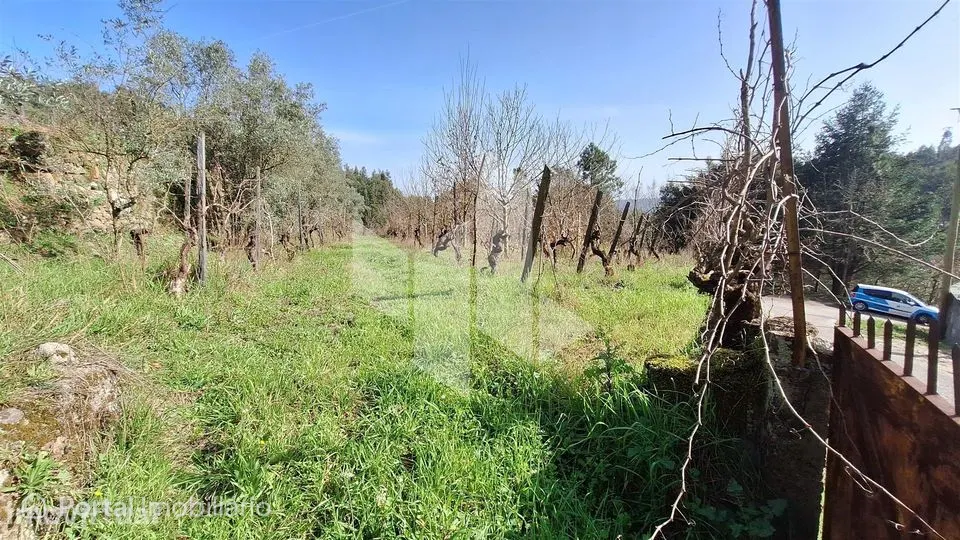 Terreno Rústico Venda em Santiago de Besteiros,Tondela