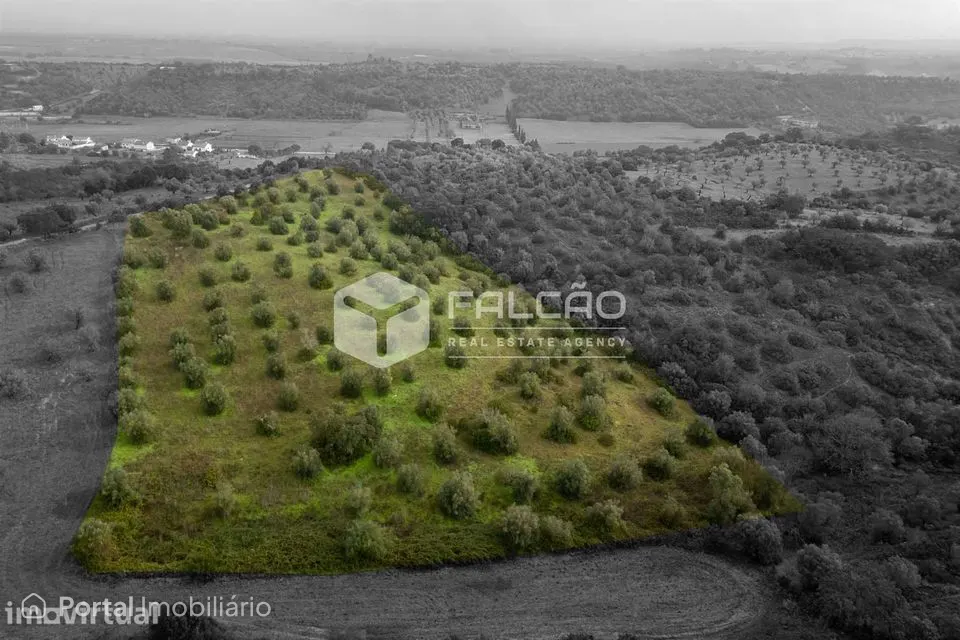 Terreno Misto Venda em Pernes,Santarém
