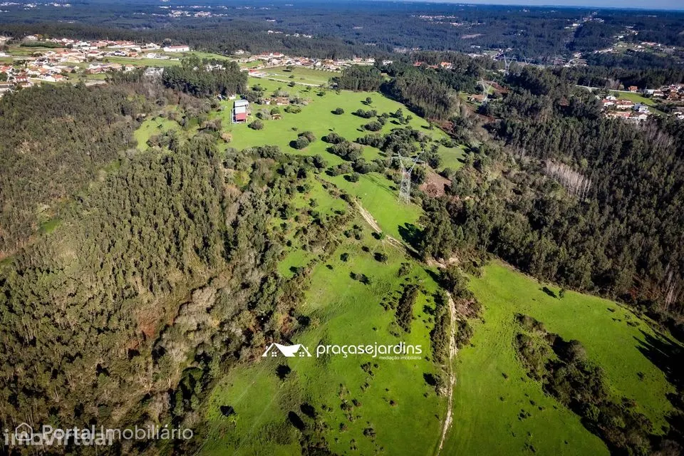 Magnifica Quinta em Zona Tranquila