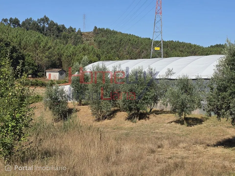 Land for sale in Campo