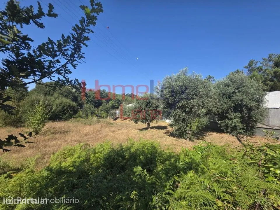 Terreno para venda no Campo, Viseu