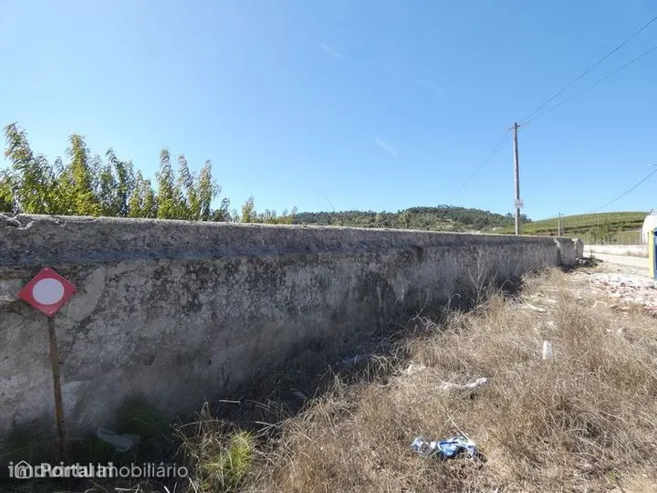 Terreno Agrícola (21437m²) c/ Viabilidade Construção Armazém Agrícola