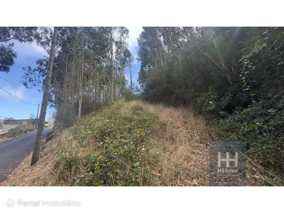 Land for sale in Camacha