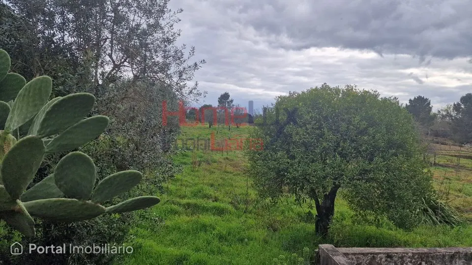 Terreno em Santiago de Besteiros