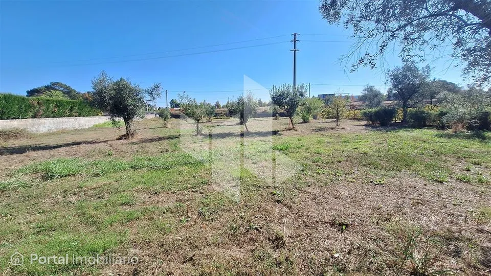 Terreno Para Construção Venda em Molelos,Tondela