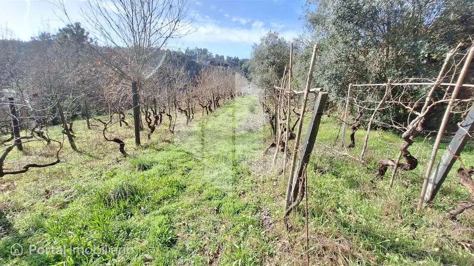 Terreno Rústico Venda em Santiago de Besteiros,Tondela