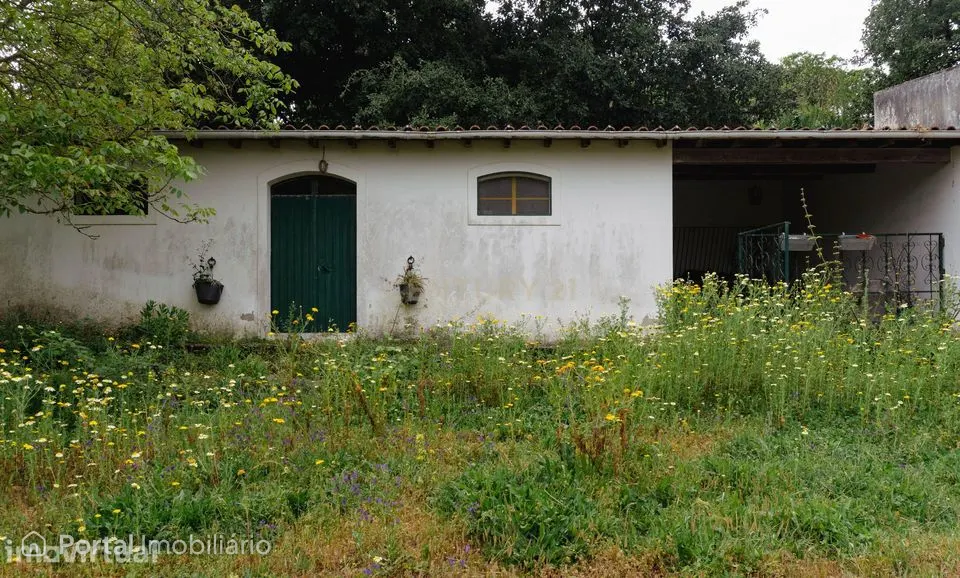 Quintinha em Alenquer com Excelente Potencial – 5,8 Hectares