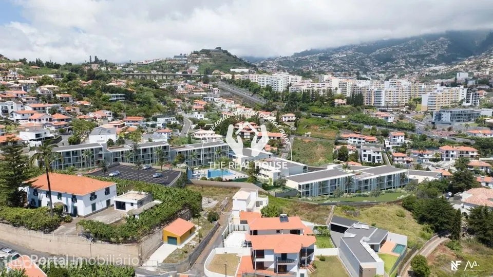 The hills Funchal