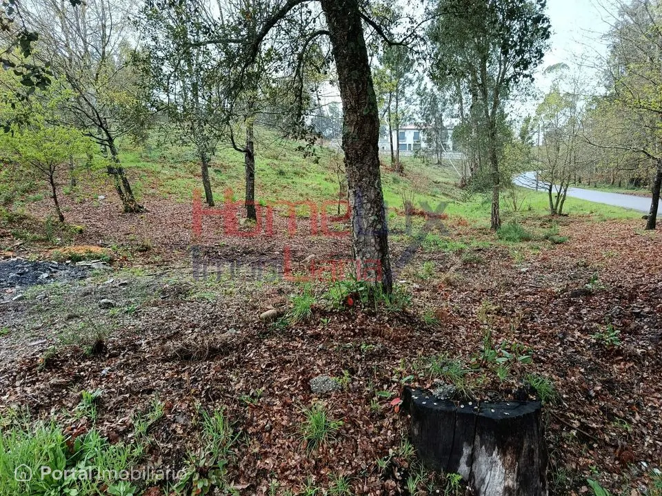 Terreno Urbanizável nas Termas de São Pedro do Sul