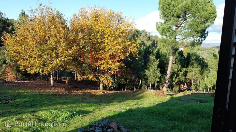 Quinta para venda em Tábua, Coimbra
