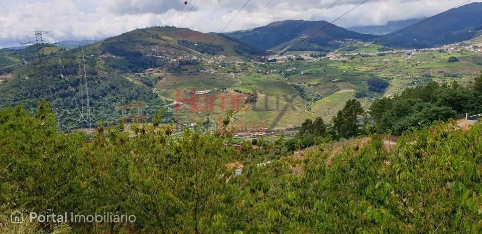 Terreno agrícola