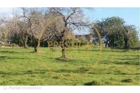 Land for sale in Boliqueime