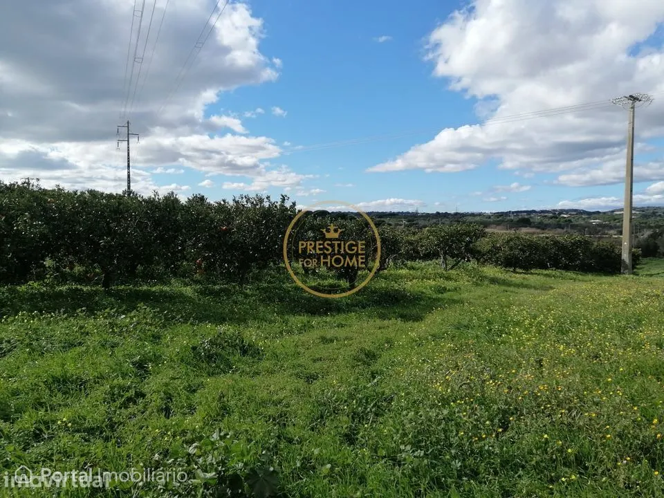 Land for sale in Boliqueime