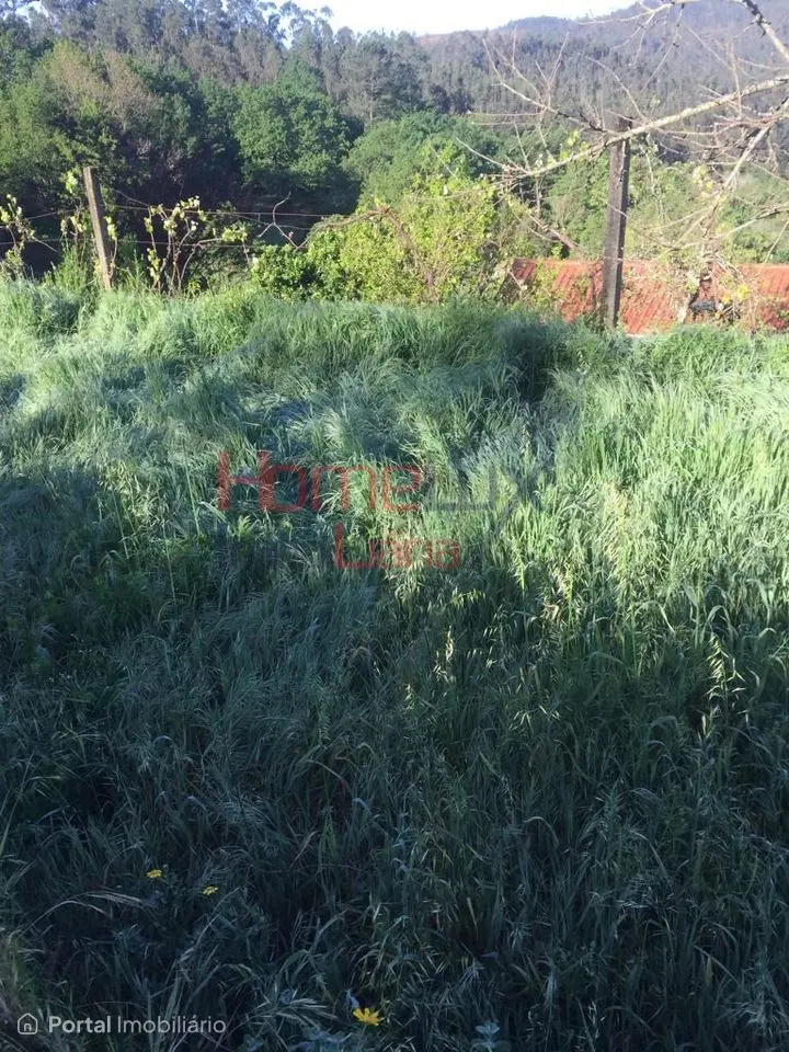 Land for sale in Branca