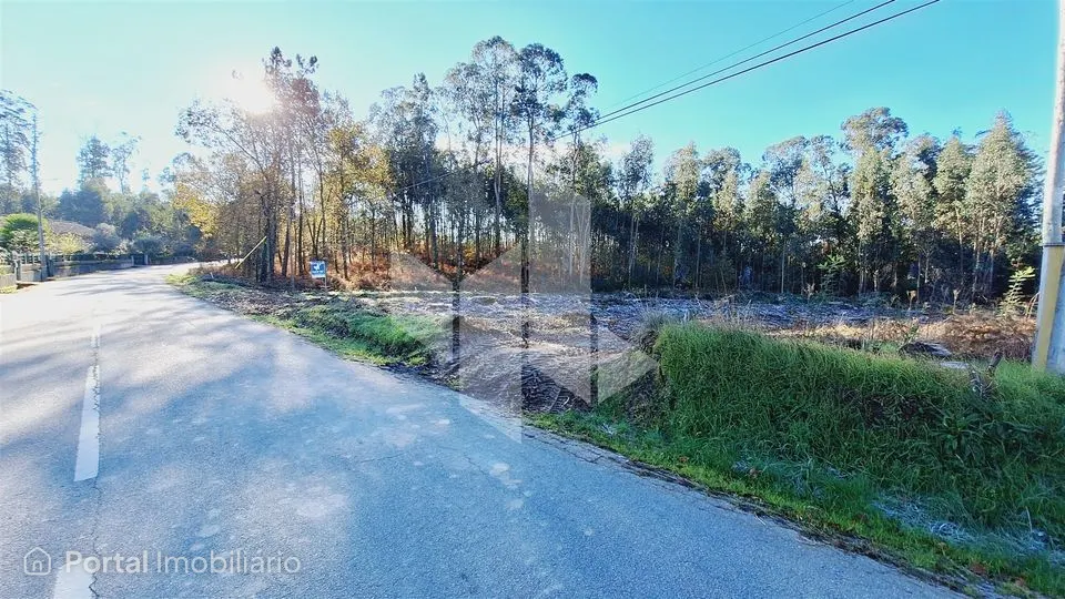 Terreno Para Construção Venda em Campo de Besteiros,Tondela