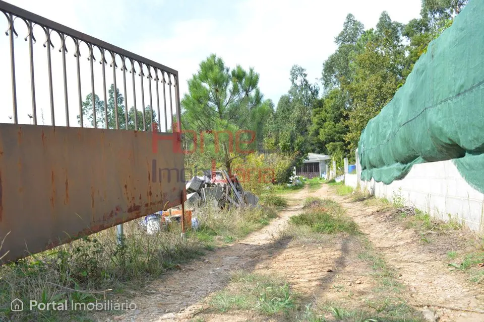 Land for sale in Nogueira do Cravo