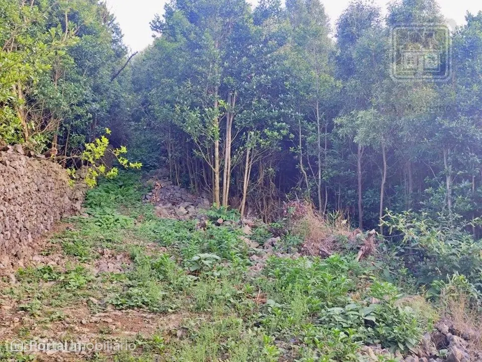 TERRENO para VENDA - São Vicente Ferreira, Ponta Delgada, Ilha de S...