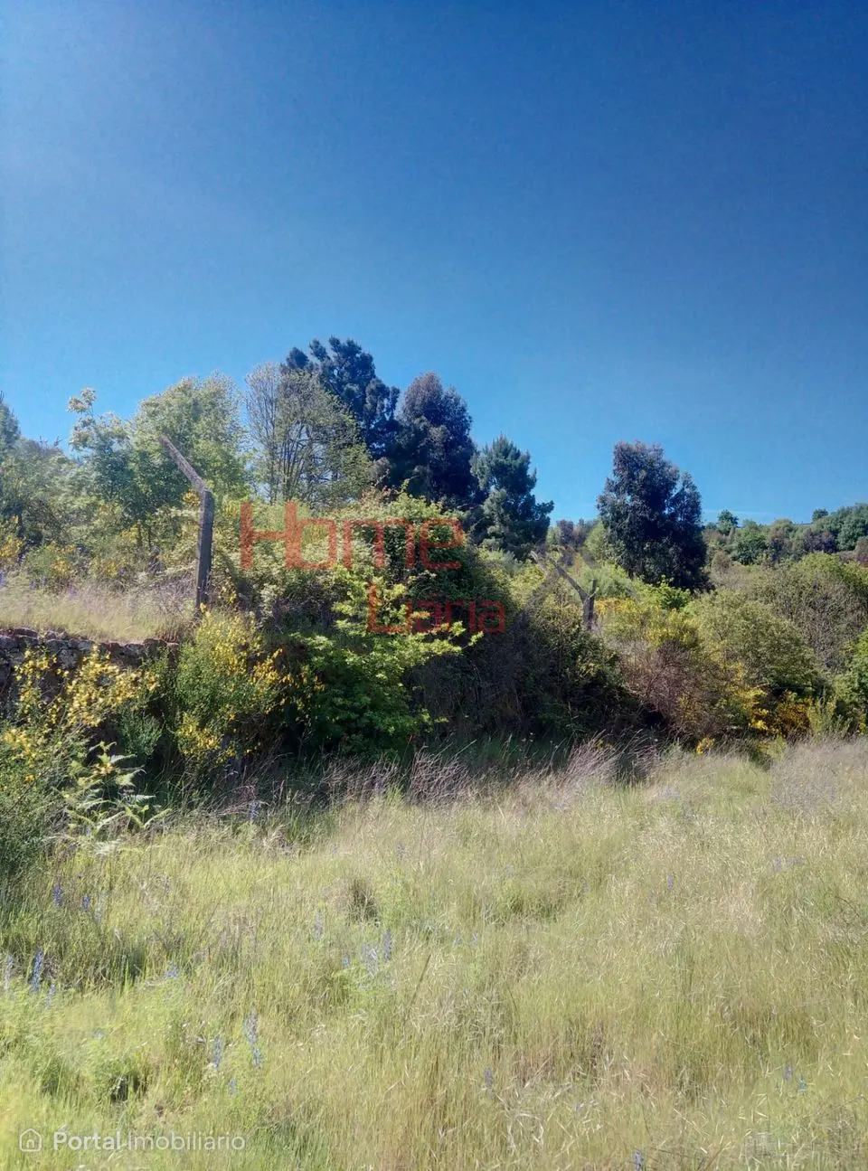 Terreno para venda em Lamego.