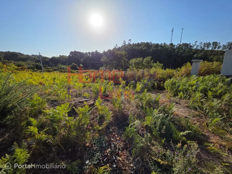 Terreno com viabilidade de construção