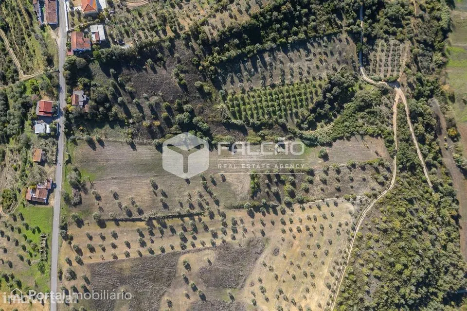 Terreno Para Construção Venda em Moçarria,Santarém