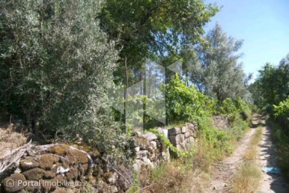 Studio farm for sale in Campo de Besteiros