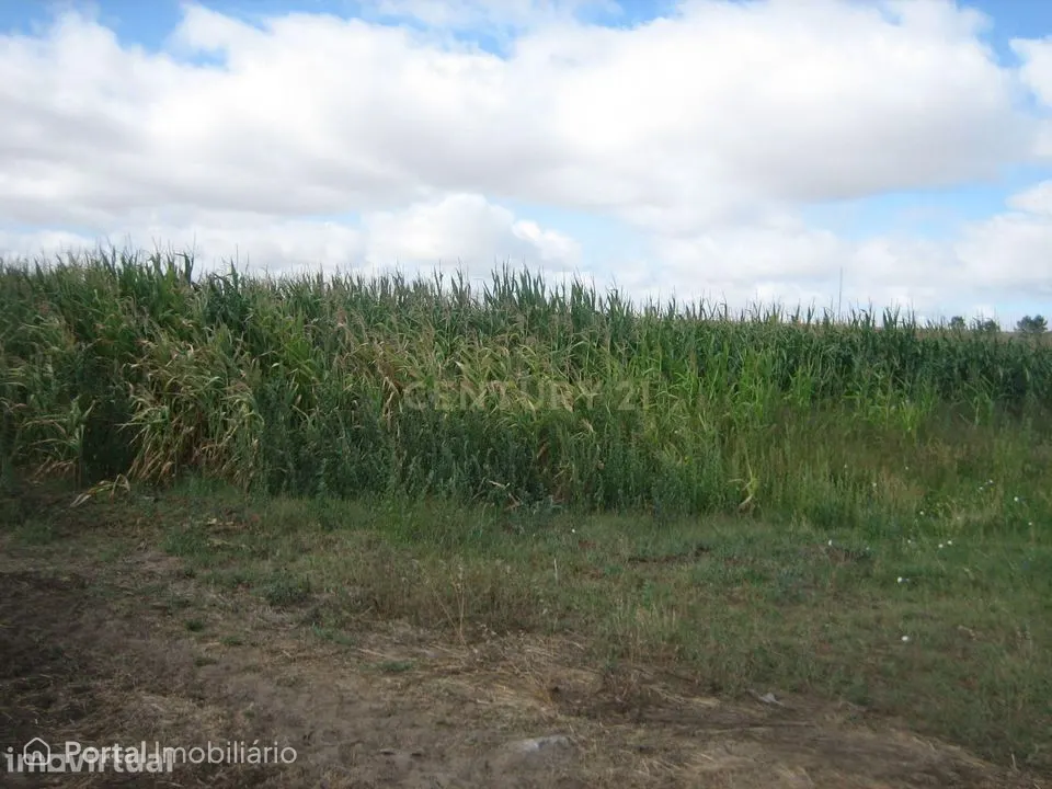 Terreno agrícola com 76.270m2