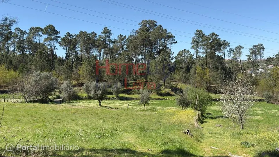Terrenos em S. João de Lourosa, Viseu