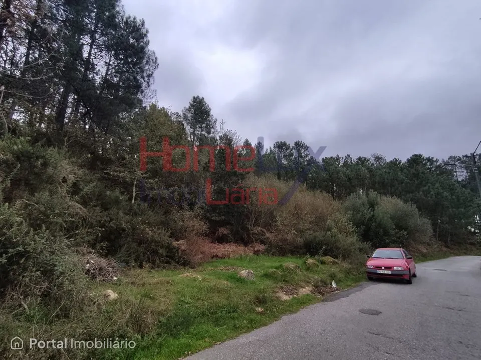 Terreno em Castro Daire