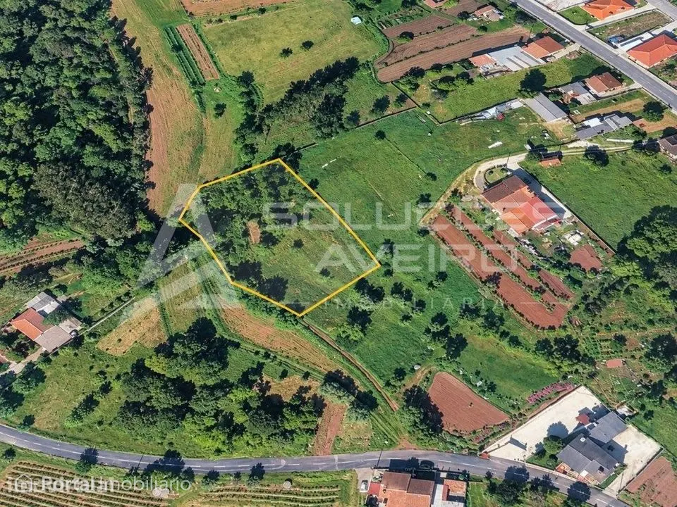 Quintã de oronhe - Águeda | 2.150 m²