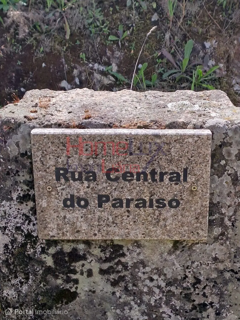 Terreno Rústico em São Pedro do Sul para venda