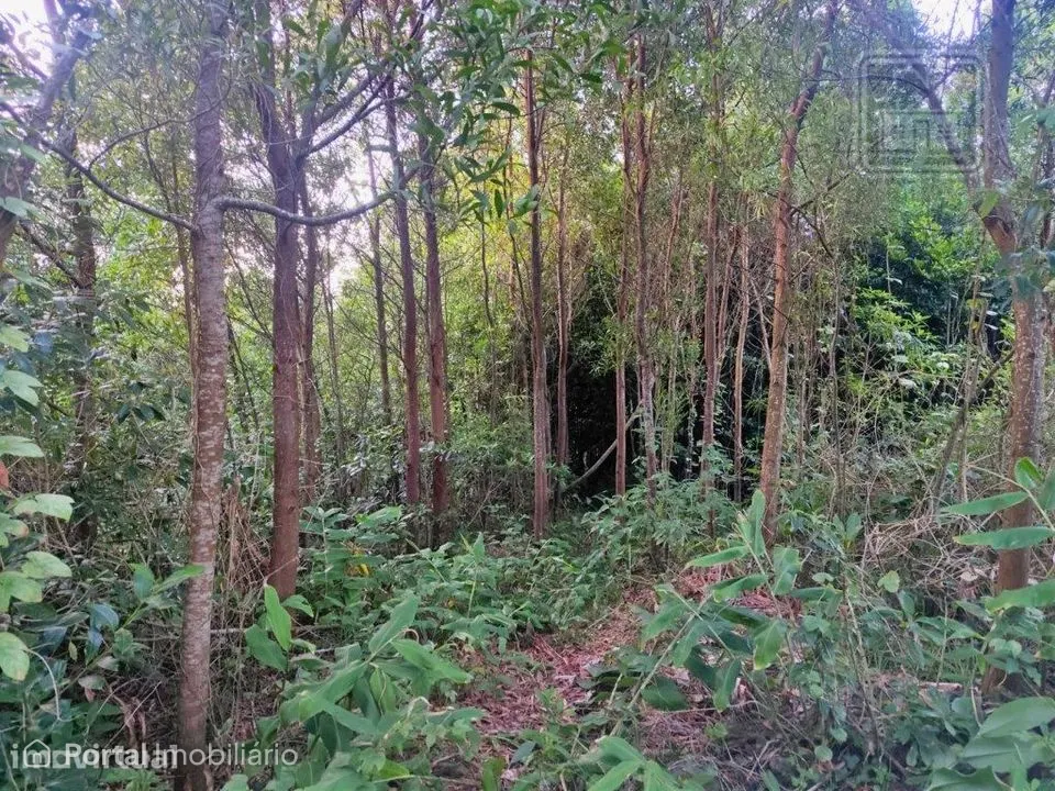 TERRENO para VENDA - São Vicente Ferreira, Ponta Delgada, Ilha de S...