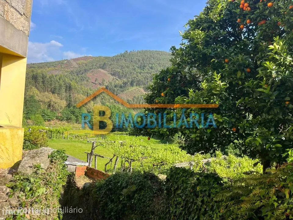 Terreno rústico em Moldes – Arouca