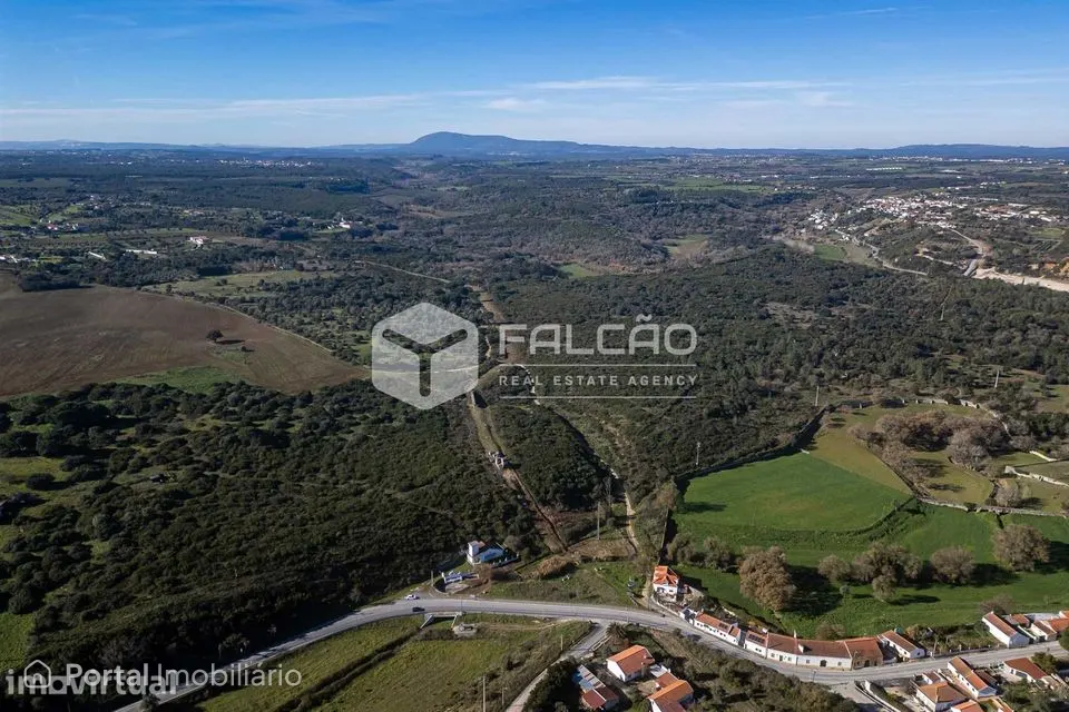 Terreno Venda em Almoster,Santarém