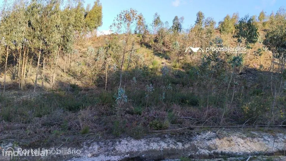 Terreno rustico