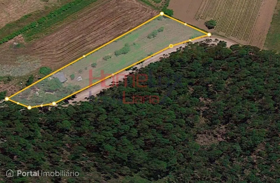 Land for sale in Travassô e Óis da Ribeira