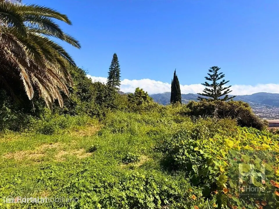 Terreno com 1.607 m2 para construção no Funchal