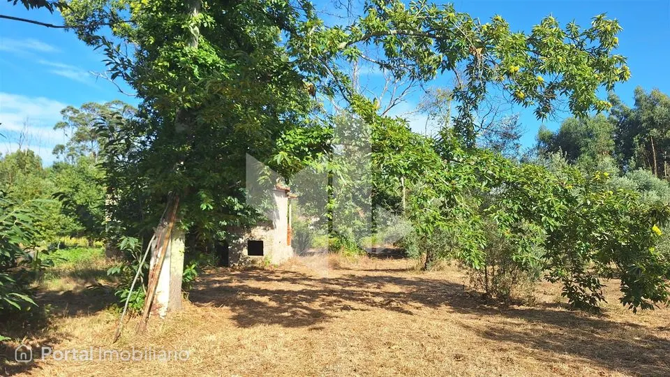 Moradia Isolada T0 Venda em Dardavaz,Tondela