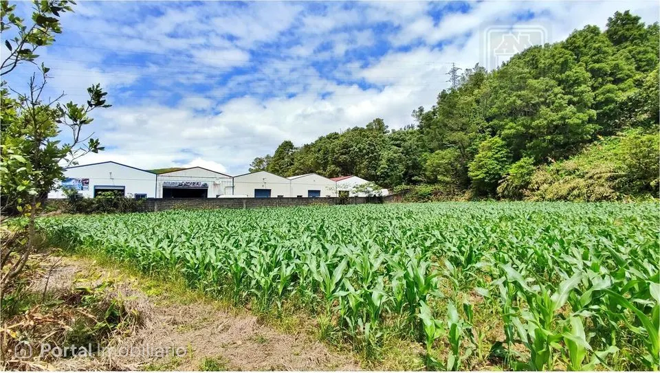 Terreno para venda com Potencial para Projeto Industrial