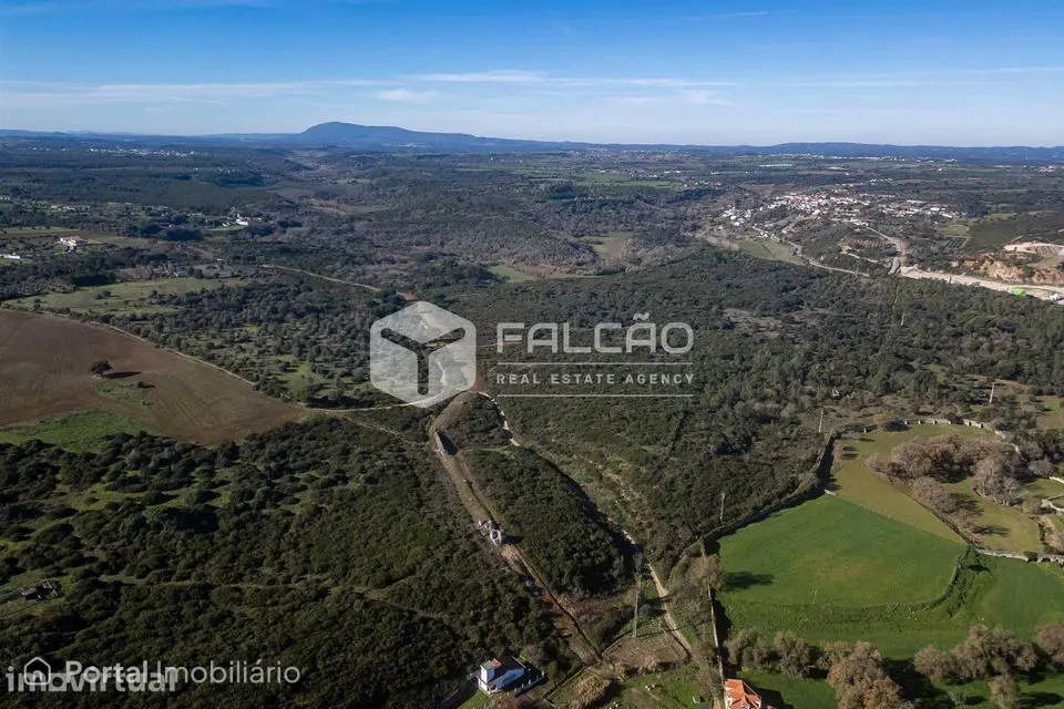 Terreno Venda em Almoster,Santarém